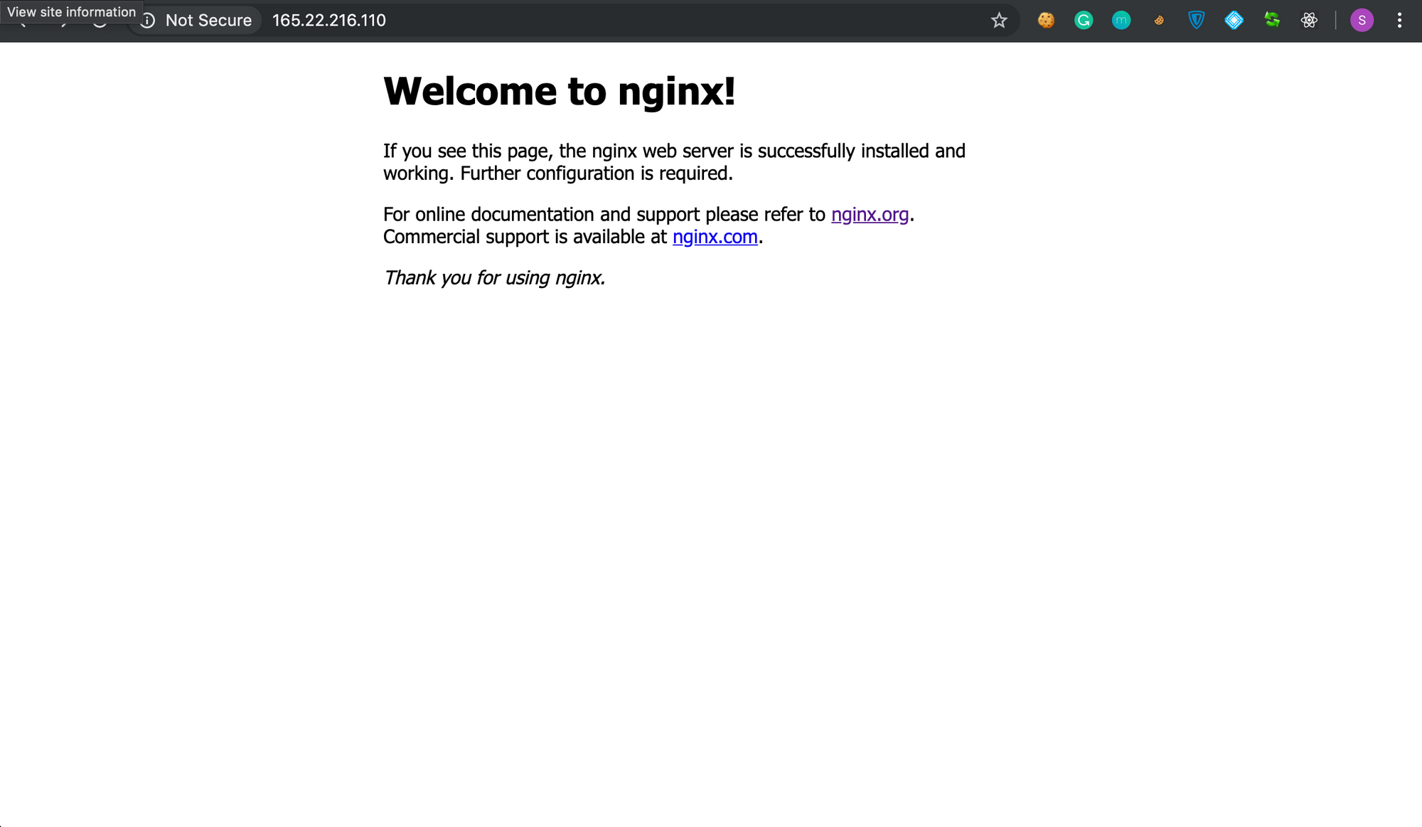 Hosting public services on your home server using NGINX and Tailscale